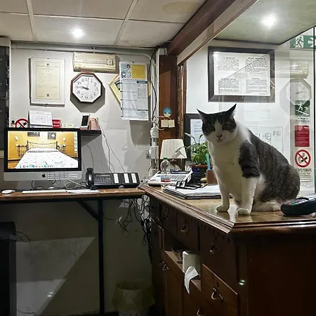 酒店 菲奥里塔旅馆