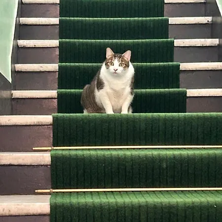 Hotel Fiorita Gênes