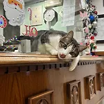 Fiorita Hotel *